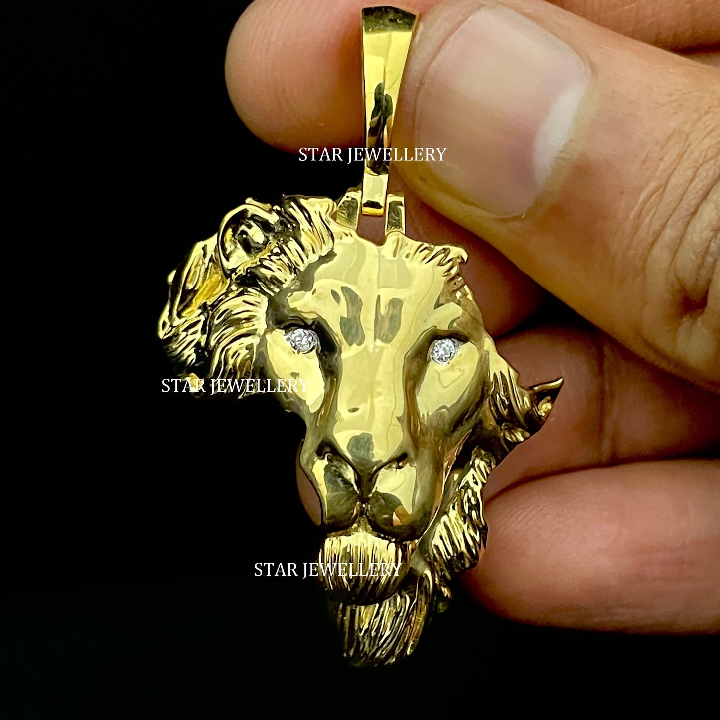 Map of Africa Diamond Lion Pendant