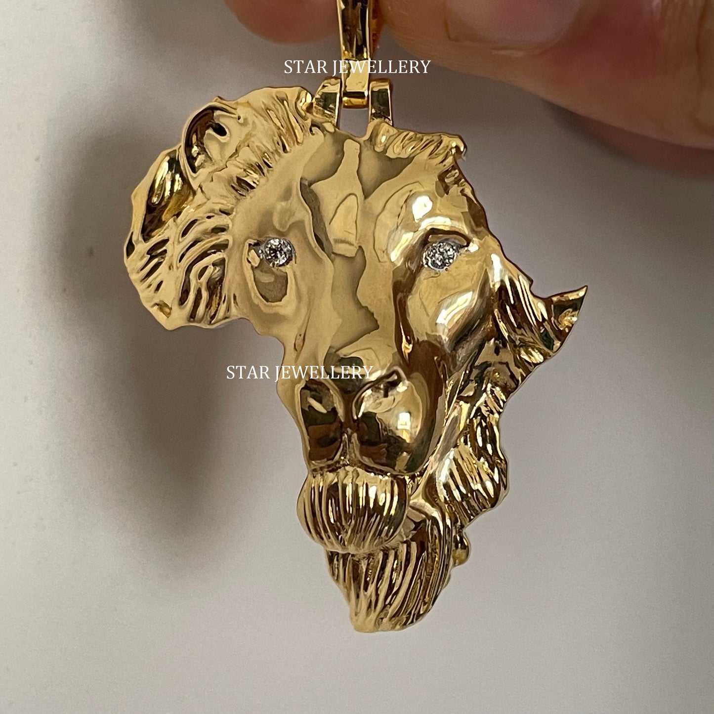 Map of Africa Diamond Lion Pendant